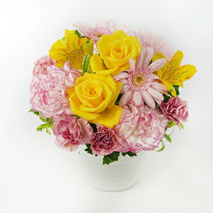 AWgt[ L  35cm  30cm  u[P ԑ ܂ t[AWg ~  2025  d   v[g Mtg NX}X ubNtCf[ 