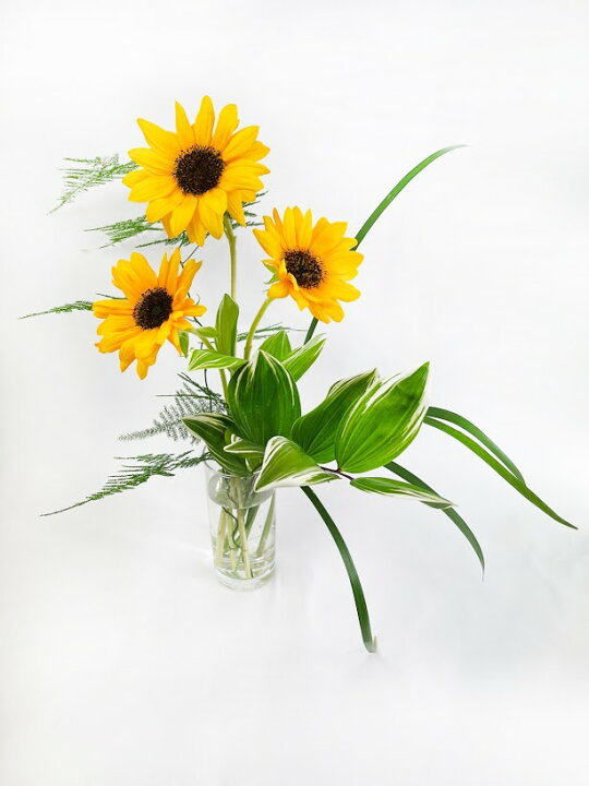 楽天市場 冬もあります ヒマワリとグリーンの花束 送料無料 生花 プレゼント 元気 フレッシュ 黄色 感謝 お祝い ひまわり 向日葵 敬老の日 花とワインギフト銀座東京フラワー