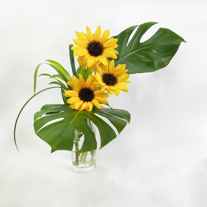 楽天市場 冬もあります ヒマワリとグリーンの花束 送料無料 生花 プレゼント 元気 フレッシュ 黄色 感謝 お祝い ひまわり 向日葵 敬老の日 花とワインギフト銀座東京フラワー