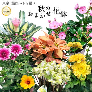 _4,480~3,980~ ̃vI^ H ܂Ԕ G߂̉Ԕ ܂ A 5 5 10 11   Mtg v[g a j j p j  Vzj Ԓd 