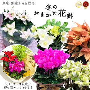 _NX}X聝񂹕coXPbgI^ ~ ܂Ԕ G߂̉Ԕ A 5 11 12   Mtg v[g a j j p j  Vzj Ԓd | 