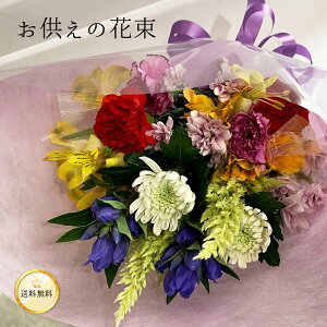 ܂ԑ X[TCY  35cm  25cm Q @ @v ԗp    @   ~ nEB nEC NX}X   N