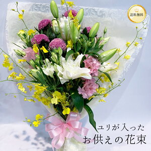 ԑ nEB nEC   Q @@v ԗp    @   ~ osonae