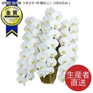 Ӓ  3{ 45ֈȏ ڂݍ i}g^Ał̔złj NX}X ubNtCf[  o yo D D D j  Ӓ Mtg JX J@ J