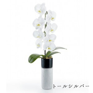 Ӓ  1{ ̌Ӓ 5ォ炨͂w FőIׂ iőIׂ R`E 1{ NX}X   yV j j JXj j j  2025 Mtg v