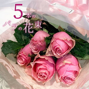 sNo 5{̉ԑ NX}X ubNtCf[ 5̂   yV v[g sN[Y oԑ KN j LO Mtg ō җ v|[Y a ސE y