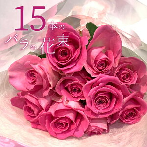 sNo 15{̉ԑ NX}X ubNtCf[ 5̂   yV v[g sN[Y oԑ  2025 KN j LO Mtg ō җ v|[Y a 