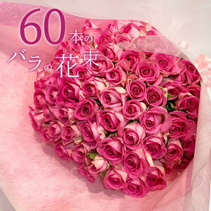 sNo 60{̉ԑ nEB }\   yV sN[Y sN oԑ o  2025 KN v[g j LO Mtg ō җ v|[Y a 