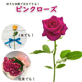 ピンクバラ 1本よりご注文可 1000円 花束 ピンクローズ 花 2026 生花 薔薇 ばら プレゼント ギフト バレンタイン ホワイトデー 送料別 楽天 7本以上で送料無料 土日も出荷 生花 お祝 記念日 プロポーズ 結婚祝い 誕生日 結婚 退職 長寿 金婚式 クール便選択可能