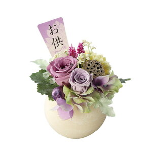   vU[uht[ ʁi傭j BOX {^drFCR2032t NX}X X[p[Z[  yz ~ V~  v[g