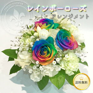 Ղ̃o C{[[Y AWg ԑ  2025 o  TvCY v[g NX}X  y13܂  25cm  25cm KN LO j a Mtg N