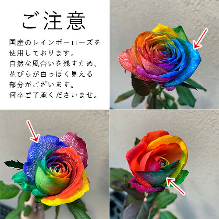 花言葉は奇跡 虹色のバラ レインボーローズ の作り方 Marry マリー 12パック人工虹の花 虹のバラの花束偽の虹のバラリアルタッチバラシルクの花花花の花diyホーム結婚式の装飾 Ciudaddelmaizslp Gob Mx