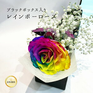 C{[[Y F̃o 1  2025 ԑ  ubN{bNX    JX~\E  O[ t AW y y13܂ NX}X  KN C{[