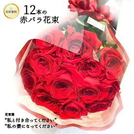 ＼大切なあの人に贈る…／ 赤バラ12本の花束 銀座の赤バラ 赤いバラ レッドローズ 花束 記念日 プレゼント 銀座 バレンタイン ホワイトデー 送料無料 誕生日 ギフト 薔薇 ばら 花 プロポーズ 2026 記念日 お祝い 生花 10周年 長寿祝い 送別 上質 妻 奥さん 母 ママ 恋人