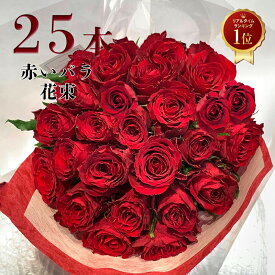 【東京銀座クオリティ◎】 赤バラ 25本の花束 バラ 花 2026 花束 バレンタイン ホワイトデー 送料無料 土日も出荷 赤いバラ レッドローズ 誕生日 プレゼント お祝い 記念日 25周年 ギフト 還暦 プロポーズ 退職 長寿 米寿 銀婚式 送別 妻 奥さん 嫁 母 ママ クール便可能