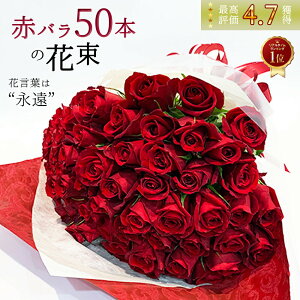 y㎿NIeBz ԃo 50{̉ԑ Ԃo  2025  ԑ yV nEB nEC  KN ΂ j 50 a LO 50N bh[Y v[g Mt
