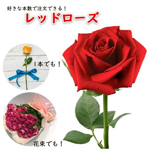̐ԃo ԑ 1{P {w OTCY ԏ 50-60cm bh[Y nEB nEC }\  yV 7{ȏő  2025  Ԃo KN v[g 