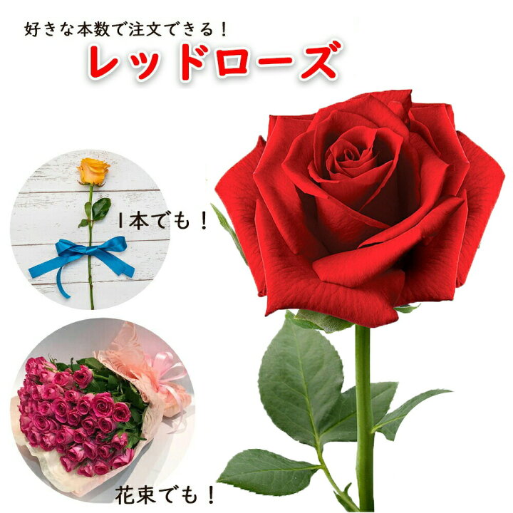 楽天市場】銀座の赤バラ 花束 1本単価 本数指定 ロングサイズ 花丈 50 