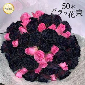 ubN Ah sN o 50{ NX}X  ԑ KN v[g j LO Mtg v|[Y a ސE  2025 yԁz j        }