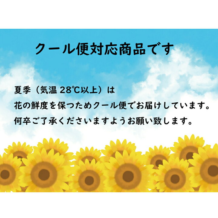 楽天市場 スタートダッシュ10 Offクーポン クール代込 切り花の福袋 季節のお花を5種類以上 本数50本以上 花丈 草丈 45cm 3日後から届日指定 葉もの グリーンを添えて マルシェ花束 送料込み ナチュラル 生花 プレゼント 誕生日 退職 配達 宅配 ブーケ お祝い 記念日