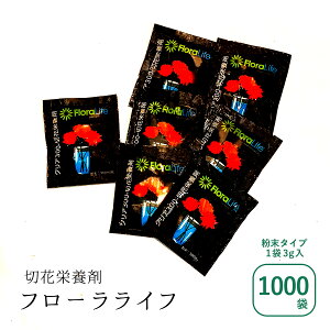 t[Ct ؉ԉh{  3g Zbg 100{ 300mlp W55×H60mm  2025 v[g Mtg ؉ h{ ؂  NX}X   yV  p h{ ͍ t