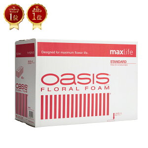 ysz IAVX t[tH[ OASIS t[tH[ 1P[X 48 X^_[hԔ yԂ̍dz NX}X ubNtCf[   yV 2025 Mtg 