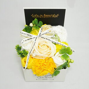 ؂ȃC[W Iׂ ԐF GKgV{BOX S  2025 v[g Mtgɂ҂ \[vt[ 18cm 12cm s12cm  y13܂ ؂₩ i D  ʂ y 