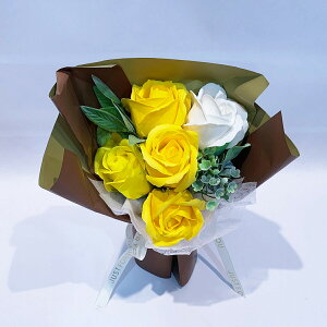 X^hL[gV{ 5 u[Pܕt \[vt[ 22cm 15cm s12cm NX}X  yV y13܂ sN IW u[ p[v bh Ό LO a 