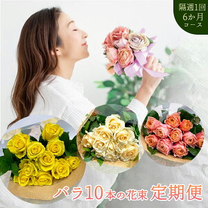 yuTS6z  o10{̉ԑ ؂ uTœ͂ 2TԂ1 3R[X S6 Еz KN TuXN o̒ց