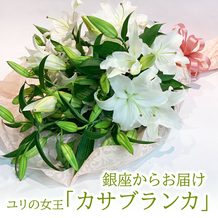 楽天市場 白ユリの女王 銀座のカサブランカ 花束 3本15輪以上 土日出荷 生花 お届け日指定 大輪白ユリ プレゼント ほぼ蕾でお届け 送料無料 誕生日 ブーケ 記念日 ギフト 結婚祝 冬季配送不可地域あり 花とお酒とギフト銀座東京フラワー