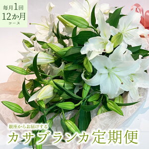 ywz̃JTuJ 3{ 15ֈȏ  1 12R[X Mtg  2025 蕨 v[g j ~   ԑ