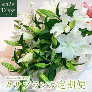 ywz̃JTuJ 3{ 15ֈȏ  2 12R[X Mtg  2025 蕨 v[g j ~   ԑ