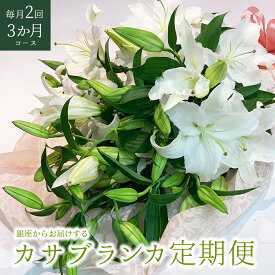 【定期購入可】銀座のカサブランカ 3本 15輪以上 定期便 毎月2回 3か月コース ギフト 花 2025 贈り物 プレゼント お祝い お盆 お供え ユリ 花束