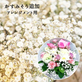 【単品でのご注文はできません】 かすみ草追加 かすみそう カスミソウ 追加 ブーケ 花束 アレンジメント プレゼント ギフト