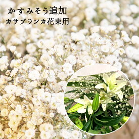 【単品でのご注文はできません】 かすみ草追加 ◎カサブランカの花束に追加用です かすみそう カスミソウ 追加 ブーケ 花束 アレンジメント プレゼント ギフト
