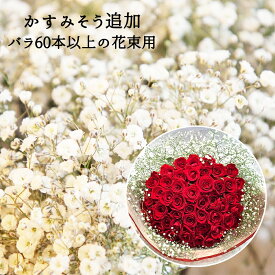 【単品でのご注文はできません】 かすみ草 追加 花束の周りを囲むオプション 60本以上花束用 かすみそう カスミソウ 追加 ブーケ 花束 アレンジメント プレゼント ギフト