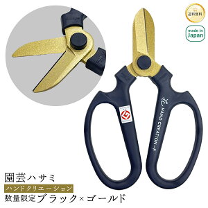 _ʌJ[ubN×S[h^ |nT~ nhNG[V { F170 NX}X  ͂ tbfH   F  ⌹ lR|X |Xgɓ