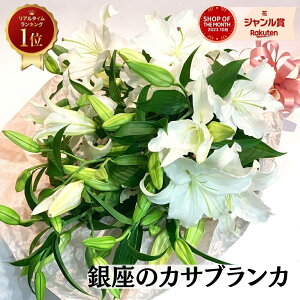 銀座のカサブランカ 白ユリの女王 百合の花束 豪華 おしゃれ 花 盆 2025 生花 大輪 カサブランカ花 ほぼ蕾でお届け あす楽13時まで ハロウィン 花束 送料無料 誕生日 プレゼント 記念日 ギフト