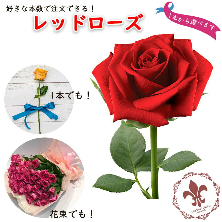 楽天市場 土日も出荷 銀座の赤バラ 花束 1本単価 本数指定 レッドローズ 品種指定 サムライ08 生花 薔薇 プレゼント ギフト 花言葉は情熱 愛情 美 プレゼント お祝い 記念日 冬季配送不可地域あり 花とギフト銀座東京フラワー