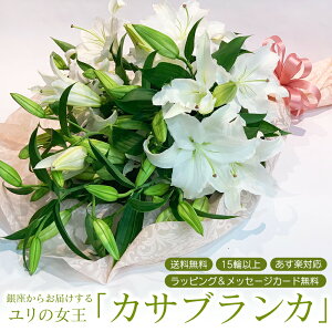 カサブランカ 誕生日の人気商品 通販 価格比較 価格 Com