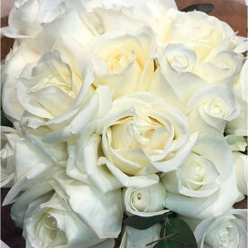 【単品でのご注文はできません】白バラ10本追加オプション バラ ばら 薔薇 追加 ブーケ 花束 アレンジメント プレゼント