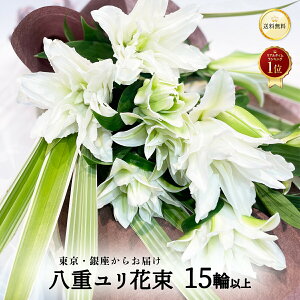 炨͂ d ̉ԑ 5{ 15ֈȏ y13܂ nEB nEC NX}X  yo ԑ  2025   S ֔ S  v[g 