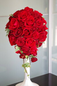  EFfBOu[P Ԃo I[ou[P eBAhbv iu[gjAtj EFfBOtHg XgEFfBO  NX}X ubNtCf[  2025 v