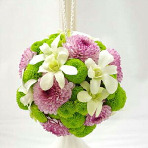  EFfBOu[P s|}̃{[u[P1iiu[gjAtjEFfBOtHg XgEFfBO  2025 v[g Mtg