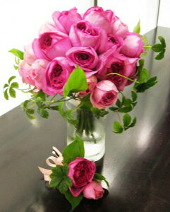  EFfBOu[P I[h[ỸNb`u[Piu[gjAtj EFfBOtHg XgEFfBO  NX}X ubNtCf[  2025 v[g 