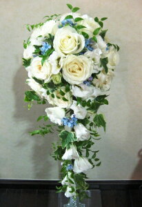  EFfBOu[P oƐF̃LXP[hu[Piu[gjAtj EFfBOtHg XgEFfBO  NX}X ubNtCf[  2025 v[