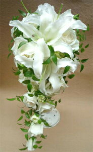  EFfBOu[P LXP[hu[Piu[gjAtjEFfBOtHg XgEFfBO  2025 v[g Mtg