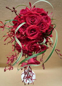  EFfBOu[P I[ou[P eBAhbv iu[gjAtj EFfBOtHg XgEFfBO  2025 v[g Mtg