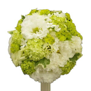  EFfBOu[P ƃO[̃Ehu[Piu[gjAtj EFfBOtHg XgEFfBO  NX}X ubNtCf[  2025 v[g M