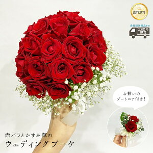 ԃõEFfBOu[P Eh^Cv ݑ u[gjAt Ԃo 30{`40{gp NX}X ubNtCf[   yV   2025 v[g Mtg